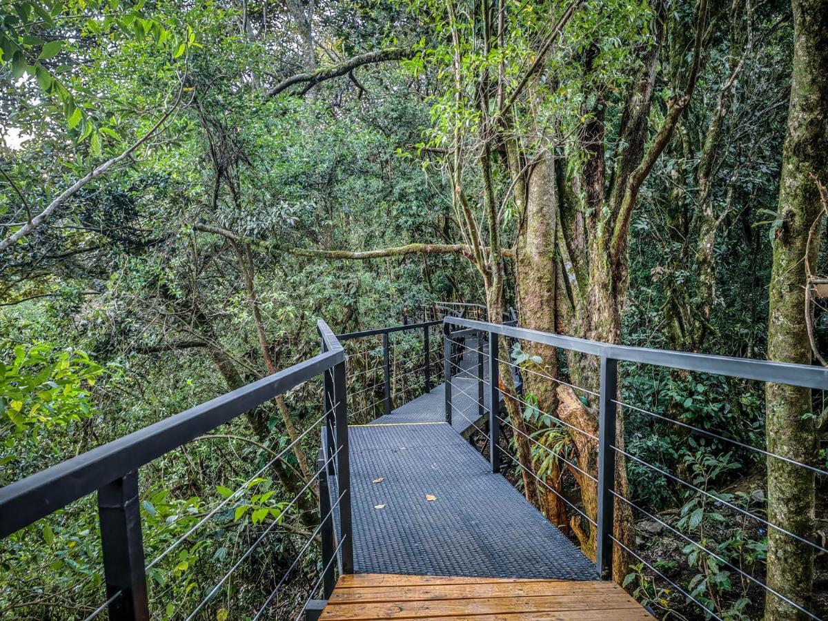 Cloud Forest Lodge By Boeena Monteverde Екстер'єр фото